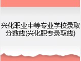 兴化职业中等专业学校录取分数线(兴化职专录取线)