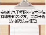 安徽电气工程职业技术学院有哪些知名校友，简单分析(安电院校友概览)