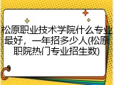 松原职业技术学院什么专业最好，一年招多少人(松原职院热门专业招生数)