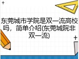 东莞城市学院是双一流高校吗，简单介绍(东莞城院非双一流)