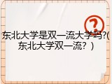 东北大学是双一流大学吗?(东北大学双一流？)