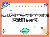 成武职业中等专业学校咋样(成武职专如何)