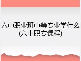 六中职业班中等专业学什么(六中职专课程)