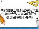 西安健康工程职业学院毕业生就业大致去向如何(西安健康职院就业去向)