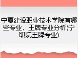 宁夏建设职业技术学院有哪些专业，王牌专业分析(宁职院王牌专业)