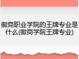 徽商职业学院的王牌专业是什么(徽商学院王牌专业)