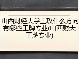 山西财经大学主攻什么方向有哪些王牌专业(山西财大王牌专业)