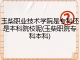 玉柴职业技术学院是专科还是本科院校呢(玉柴职院专科本科)