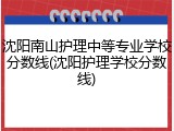 沈阳南山护理中等专业学校分数线(沈阳护理学校分数线)