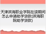 天津滨海职业学院在读期间怎么申请助学贷款(滨海职院助学贷款)