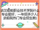 武汉船舶职业技术学院什么专业最好，一年招多少人(武船院热门专业招生数)
