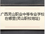 广西灵山职业中等专业学校在哪里(灵山职校地址)