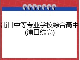 浦口中等专业学校综合高中(浦口综高)