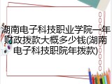 湖南电子科技职业学院一年财政拨款大概多少钱(湖南电子科技职院年拨款)