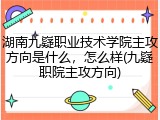 湖南九嶷职业技术学院主攻方向是什么，怎么样(九嶷职院主攻方向)