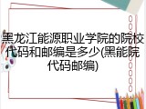 黑龙江能源职业学院的院校代码和邮编是多少(黑能院代码邮编)