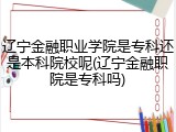 辽宁金融职业学院是专科还是本科院校呢(辽宁金融职院是专科吗)