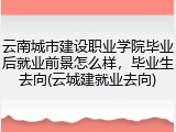 云南城市建设职业学院毕业后就业前景怎么样，毕业生去向(云城建就业去向)
