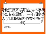 河北资源环境职业技术学院什么专业最好，一年招多少人(河北职院优势专业招生数)