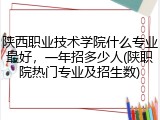 陕西职业技术学院什么专业最好，一年招多少人(陕职院热门专业及招生数)