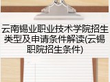 云南锡业职业技术学院招生类型及申请条件解读(云锡职院招生条件)