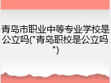 青岛市职业中等专业学校是公立吗("青岛职校是公立吗")