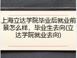 上海立达学院毕业后就业前景怎么样，毕业生去向(立达学院就业去向)
