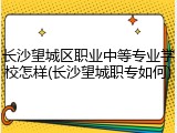 长沙望城区职业中等专业学校怎样(长沙望城职专如何)