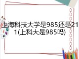 上海科技大学是985还是211(上科大是985吗)