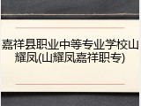 嘉祥县职业中等专业学校山耀凤(山耀凤嘉祥职专)