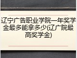 辽宁广告职业学院一年奖学金最多能拿多少(辽广院最高奖学金)