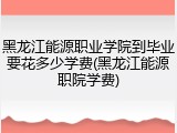 黑龙江能源职业学院到毕业要花多少学费(黑龙江能源职院学费)