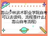 嵩山少林武术职业学院自考可以去读吗，流程是什么(嵩山自考流程)