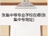 张集中等专业学校在哪(张集中专地址)