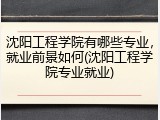 沈阳工程学院有哪些专业，就业前景如何(沈阳工程学院专业就业)