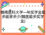 赣南医科大学一年奖学金最多能拿多少(赣医最多奖学金)