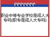 职业中等专业学校是成人大专吗(职专是成人大专吗)