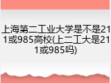 上海第二工业大学是不是211或985高校(上二工大是211或985吗)
