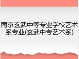 南京玄武中等专业学校艺术系专业(玄武中专艺术系)