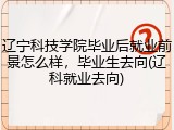 辽宁科技学院毕业后就业前景怎么样，毕业生去向(辽科就业去向)