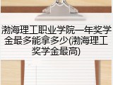 渤海理工职业学院一年奖学金最多能拿多少(渤海理工奖学金最高)