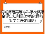 桐城师范高等专科学校奖学金评定细则是怎样的(桐师奖学金评定细则)