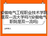 安徽电气工程职业技术学院是双一流大学吗?(安徽电气职院是双一流吗)