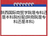 陕西国际商贸学院是专科还是本科院校呢(陕商院是专科还是本科)