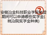 安徽冶金科技职业学院就读期间可以申请哪些奖学金(皖冶院奖学金种类)