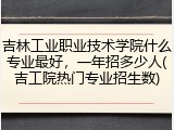 吉林工业职业技术学院什么专业最好，一年招多少人(吉工院热门专业招生数)