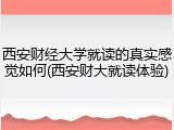 西安财经大学就读的真实感觉如何(西安财大就读体验)