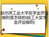 哈尔滨工业大学奖学金评定细则是怎样的(哈工大奖学金评定细则)