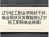 辽宁轻工职业学院好不好，就业现状及发展趋势(辽宁轻工职院就业前景)