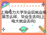 上海电力大学毕业后就业前景怎么样，毕业生去向(上电大就业去向)